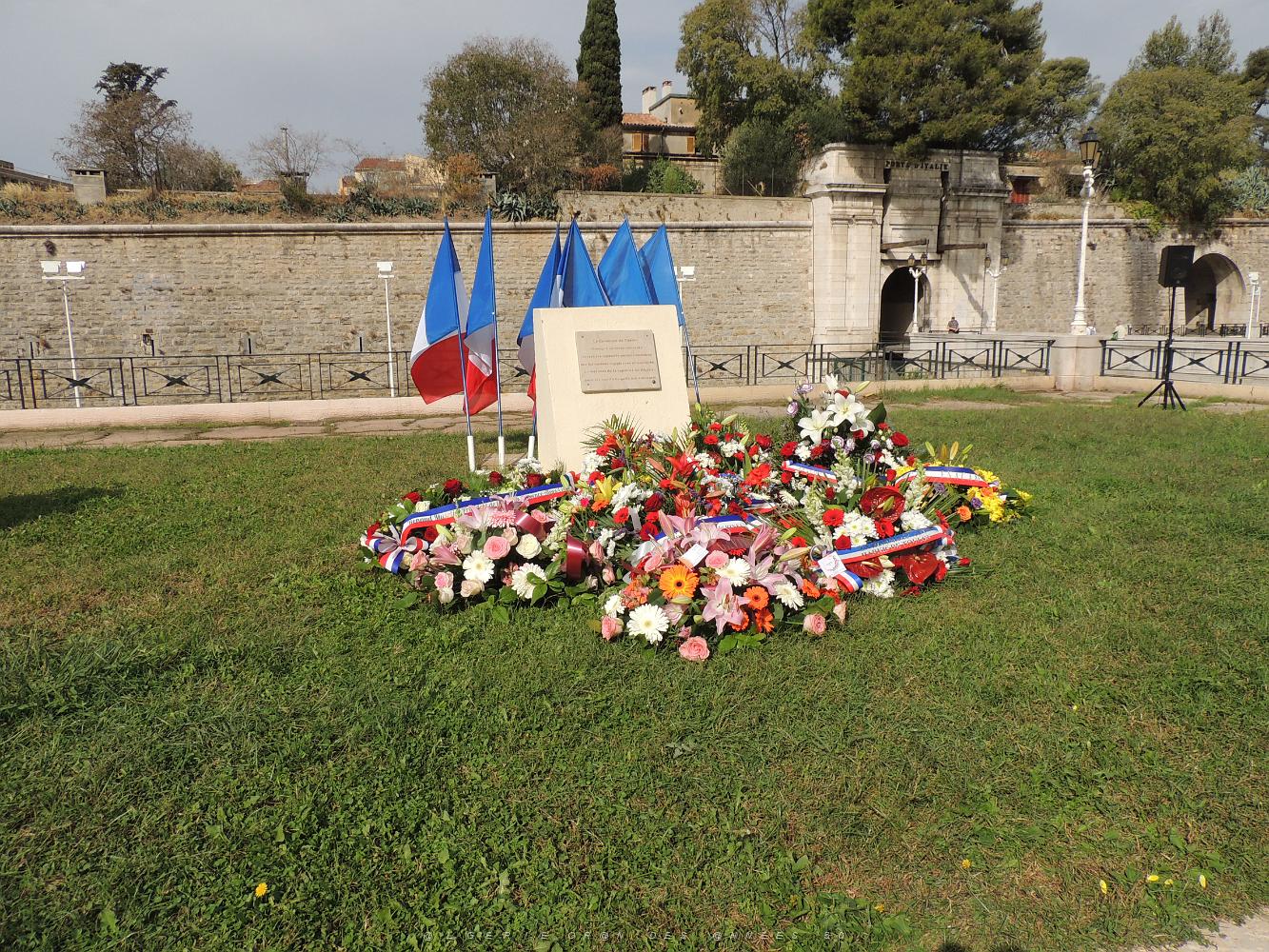 2021 09 25 TOULON  HOMMAGE AUX HARKIS FORCES SUPPLETIVES D ALGERIE (105).JPG -           